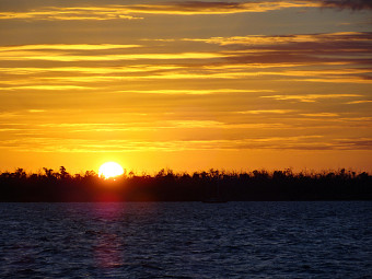 Thumbnail Photo